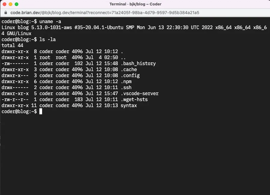 Web Terminal
